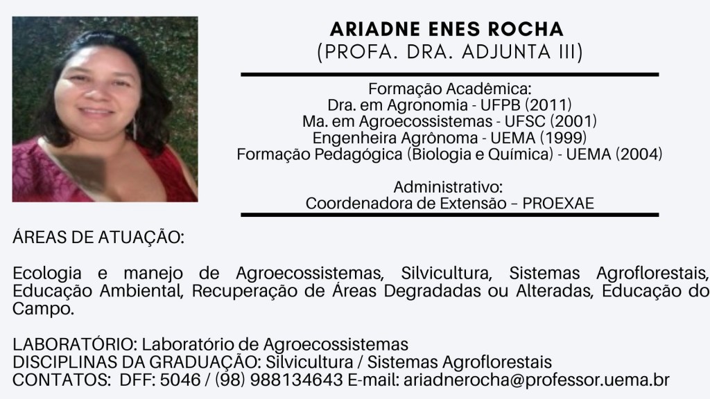 Ariadne Enes Rocha