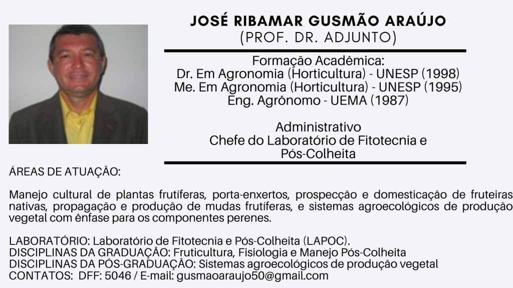 José Ribamar Gusmão Araújo