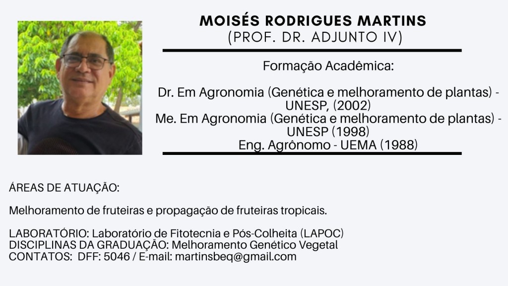 Moisés Rodrigues Martins